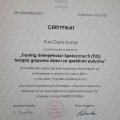 Powiększ obraz: certificate 6