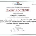 Powiększ obraz: certificate 8