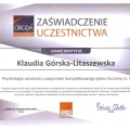 Powiększ obraz: certificate 10