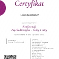 Powiększ obraz: certificate 4