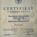 Powiększ obraz: certificate 2