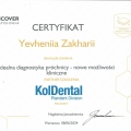 Powiększ obraz: certificate 12