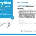 Powiększ obraz: certificate 16