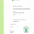 Powiększ obraz: certificate 8