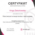 Powiększ obraz: certificate 5