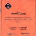 Powiększ obraz: certificate 9