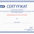 Powiększ obraz: certificate 45