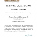 Powiększ obraz: certificate 32
