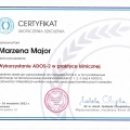 Powiększ obraz: certificate 5