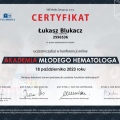 Powiększ obraz: certificate 381