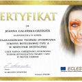 Powiększ obraz: certificate 4
