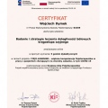 Powiększ obraz: certificate 10