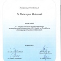 Powiększ obraz: certificate 8