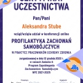 Powiększ obraz: certificate 12