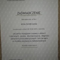 Powiększ obraz: certificate 7