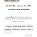 Powiększ obraz: certificate 11