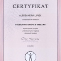 Powiększ obraz: certificate 8