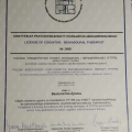 Powiększ obraz: certificate 1