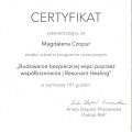 Powiększ obraz: certificate 3