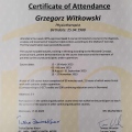 Powiększ obraz: certificate 5