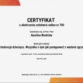 Powiększ obraz: certificate 5