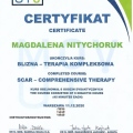 Powiększ obraz: certificate 12