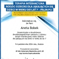 Powiększ obraz: certificate 2