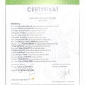 Powiększ obraz: certificate 29