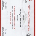 Powiększ obraz: certificate 16
