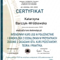 Powiększ obraz: certificate 1