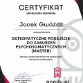 Powiększ obraz: certificate 6