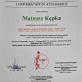 Powiększ obraz: certificate 15