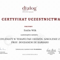 Powiększ obraz: certificate 1