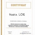 Powiększ obraz: certificate 2