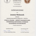 Powiększ obraz: certificate 2