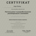 Powiększ obraz: certificate 1