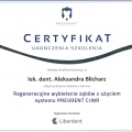 Powiększ obraz: certificate 4