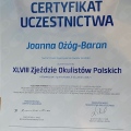 Powiększ obraz: certificate 2