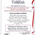 Powiększ obraz: certificate 11