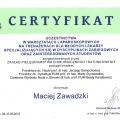 Powiększ obraz: certificate 8