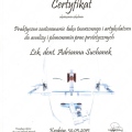 Powiększ obraz: certificate 4