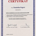 Powiększ obraz: certificate 3