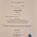 Powiększ obraz: certificate 2