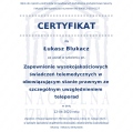 Powiększ obraz: certificate 302