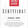 Powiększ obraz: certificate 5