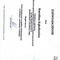 Powiększ obraz: certificate 6