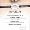 Powiększ obraz: certificate 6