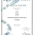 Powiększ obraz: certificate 11