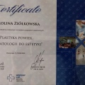 Powiększ obraz: certificate 9