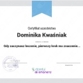 Powiększ obraz: certificate 132